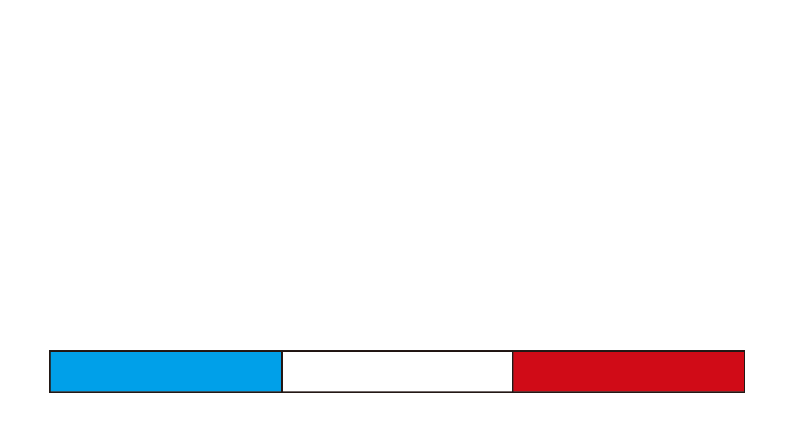 DES SHOCK ABSORBER